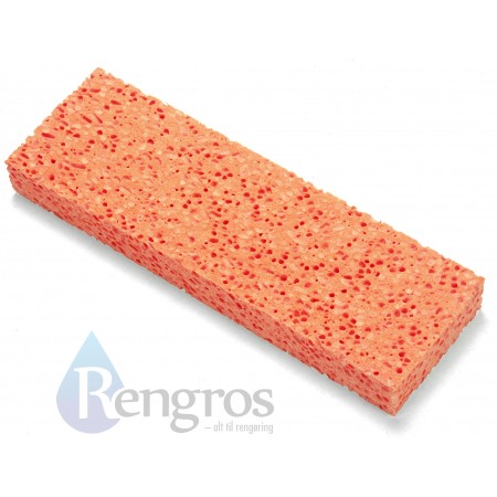 MultimopSvampSA141-37